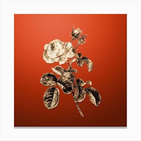 Gold Botanical Provence Rose on Tomato Red n.3014 Canvas Print