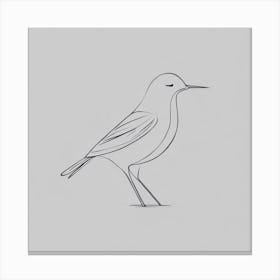 Bird Drawing Canvas Print