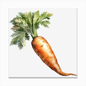 Carrot 1 Canvas Print