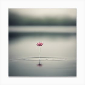 Lotus Flower In Water Canvas Print