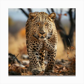 Leopard Walking In The Bush Canvas Print