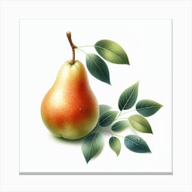 Pear 1 Canvas Print