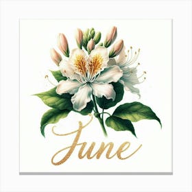 Honeysuckle - June Birth Flower Canvas Print