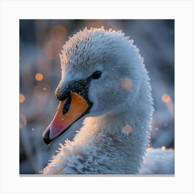 Beautiful Swan 10 Canvas Print