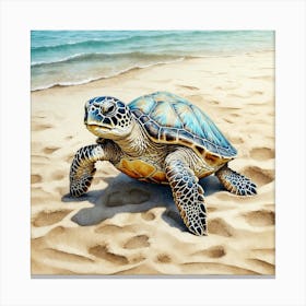 Turtle On The Beach Canvas Print