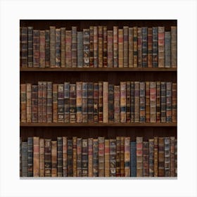 Old Bookshelf Orderly Antique Books Canvas Print