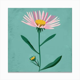 Asters 1 Square Flower Illustration Canvas Print