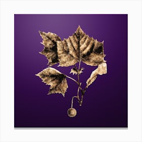 Gold Botanical American Sycamore on Royal Purple Canvas Print