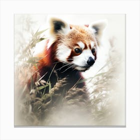 Red panda life Canvas Print