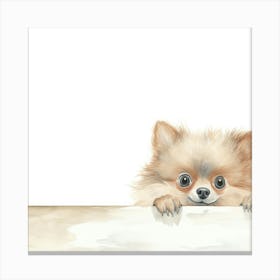 Pomeranian Dog On A White Background Canvas Print