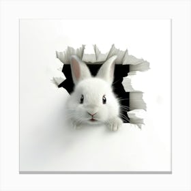 White Rabbit Peeking Out Of A Hole Canvas Print