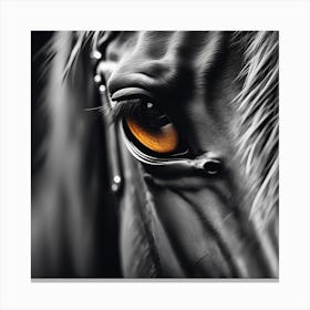 Eye Of A Horse 30 Canvas Print