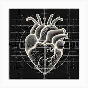 Human Heart 1 Canvas Print