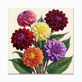 Dahlias 7 Canvas Print