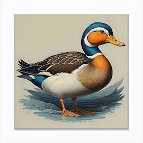 Mallard Duck Canvas Print