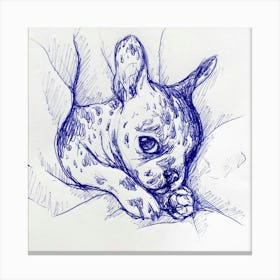 Cozy French Bulldog Puppy Canvas Print
