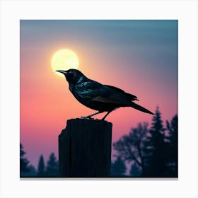 Crow At Sunset Canvas Print