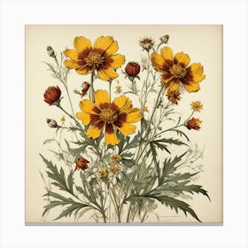 Coreopsis Wildflower Vintage Botanical Art Print Canvas Print