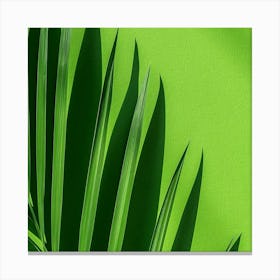 Green Palm Leaf Canvas Print