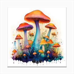 Mushrooms On A White Background Canvas Print