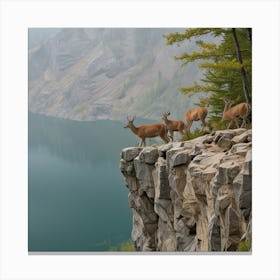 Deer On Cliff Canvas Print
