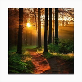 Sunrise In The Forest 13 Canvas Print