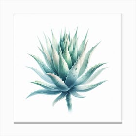 Flower of Aloe Canvas Print