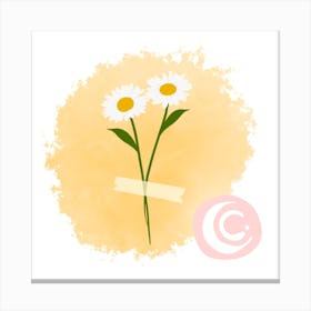 Daisy (Water Flower) Canvas Print