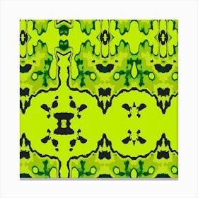 Kaleidoscope Canvas Print