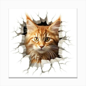 Koon Cat Canvas Print