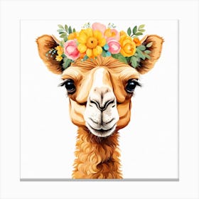 Floral Baby Camel Nursery Illustration (18) Canvas Print