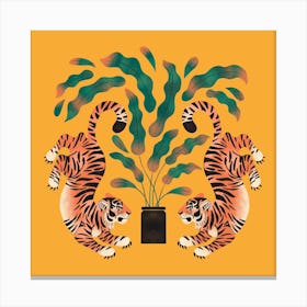 Tiger Tiwns In Marigold Square Canvas Print
