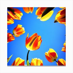 Tulips In A Circle Canvas Print