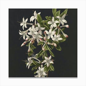 Azaleas Canvas Print