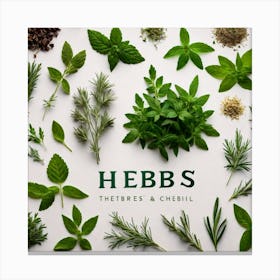 Herbs 1 Canvas Print