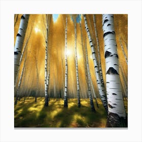 Birch Forest 30 Canvas Print