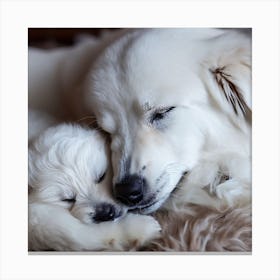 White Retriever Mom And Pup Sleeping Canvas Print