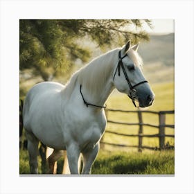 White Horse Standing In A Field Canvas Print