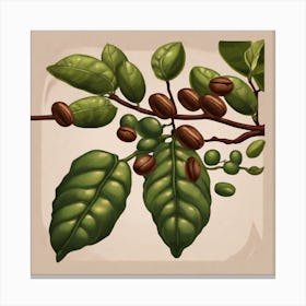 Coffee Beans 13 Canvas Print