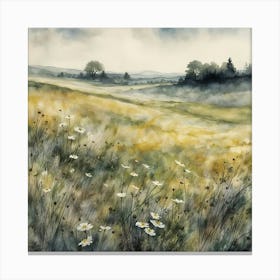 Field Of Daisies Canvas Print