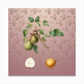 Vintage Pear Botanical on Dusty Pink Pattern n.1564 Canvas Print