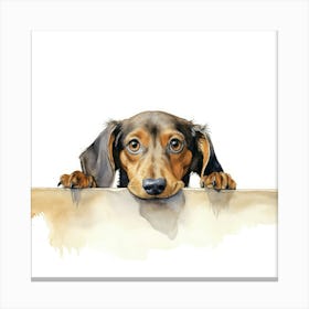 Dachshund 12 Canvas Print