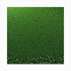 Green Grass Background 3 Canvas Print