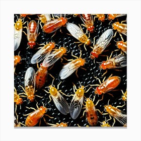 Flies Insects Pest Wings Buzzing Annoying Swarming Houseflies Mosquitoes Fruitflies Maggot (21) Canvas Print