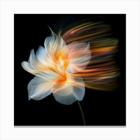 Flower In Motion Canvas Print