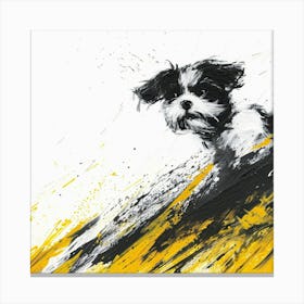 Shih Tzu Canvas Print