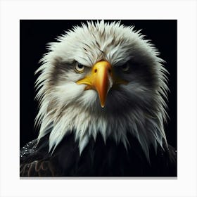 Bald Eagle 8 Canvas Print
