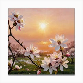 Cherry Blossoms in the Sun’s Warmth Blossoming Cherry Blossoms Canvas Print