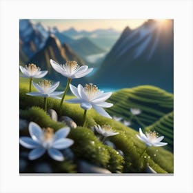 Lily Flowers In The Mountains Canvas Print