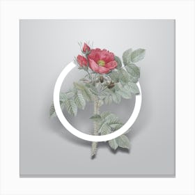 Vintage Kamtschatka Rose Minimalist Floral Geometric Circle on Soft Gray Canvas Print